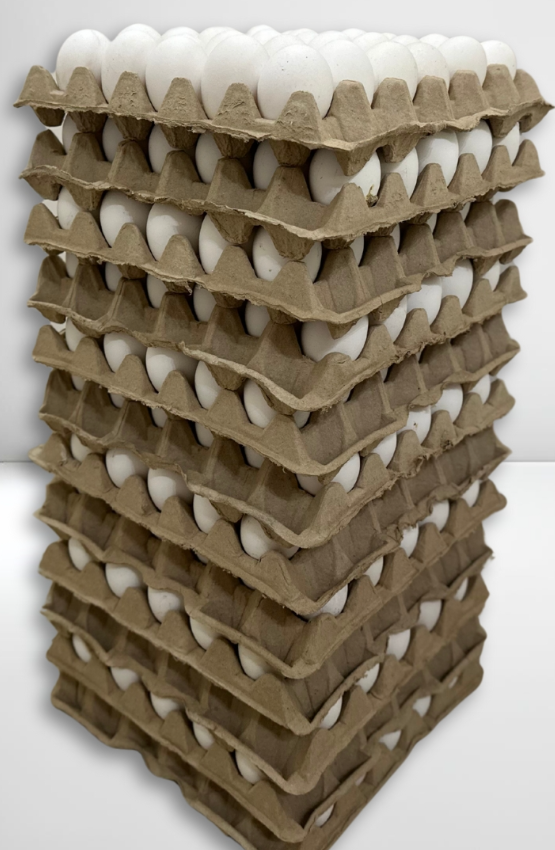 ESENCIA NARANJA "GEL BRIX" X 1 LT