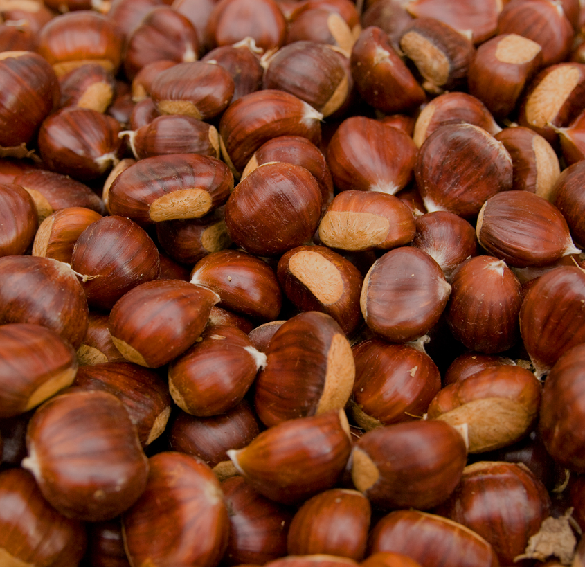 ESENCIA VAINILLA "GEL BRIX" X 1 LT