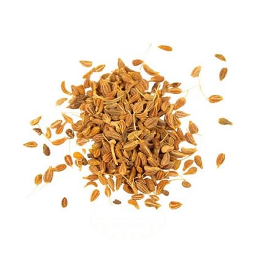 [277] BAND.DORADA REDONDA P- 22